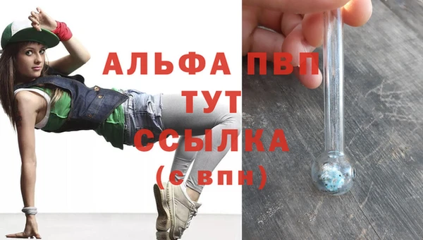 прущие грибы Пересвет