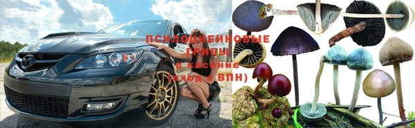 героин Алзамай