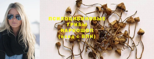 героин Алзамай